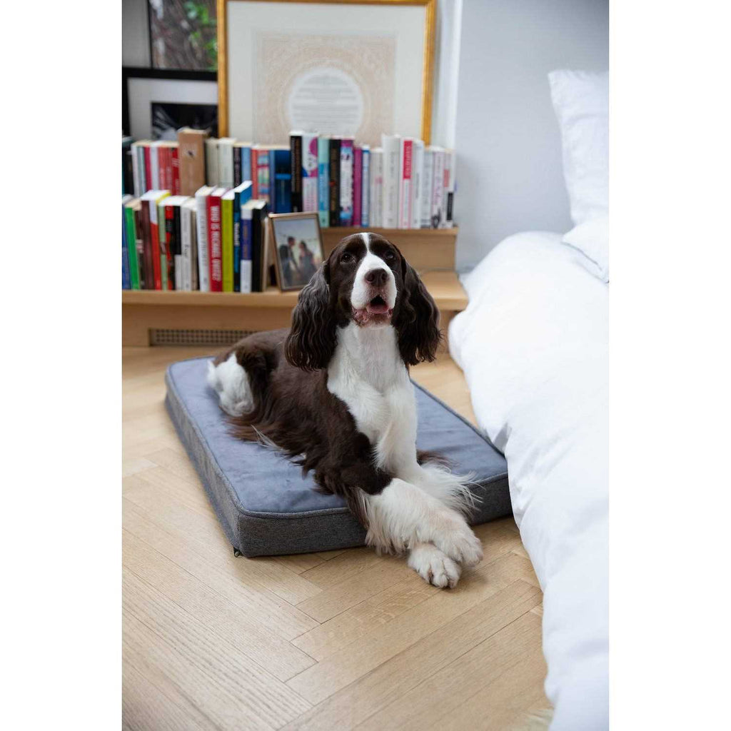 Memory Foam Dog Bed C21813