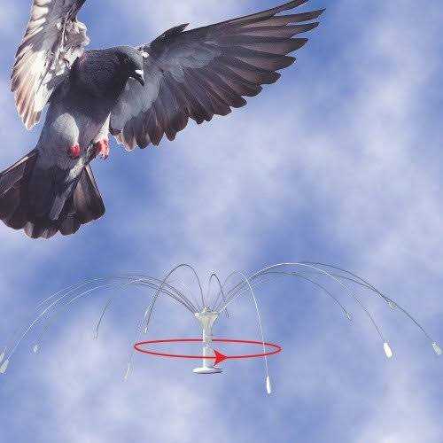 Bird Spider 360 Stainless Steel I27002