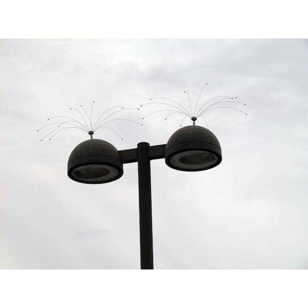 Bird Spider 360 Stainless Steel I27002