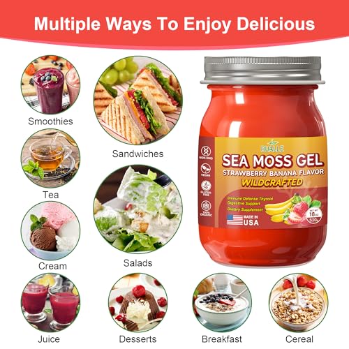 18 OZ Organic Sea Moss Gel U12843
