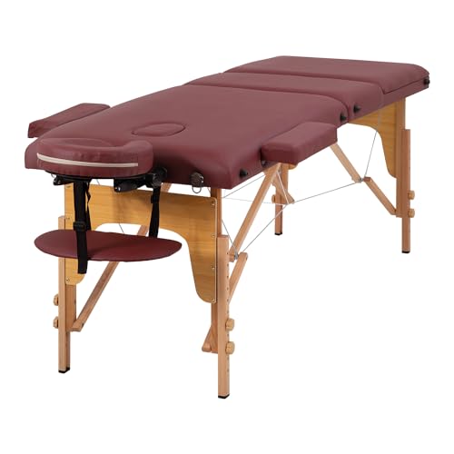 24 inch Wide Folding Height Adjustable Massage Table with Non-Woven Bag T1638