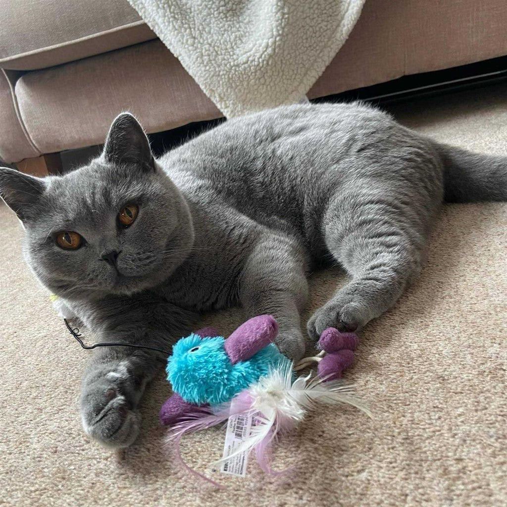 Cat Toy L1063