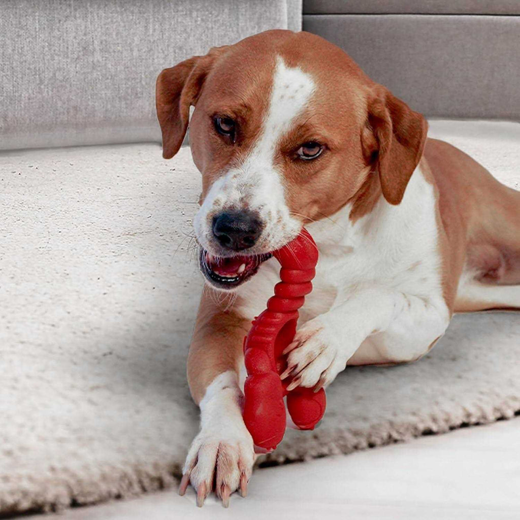 Lobster Dog Toy A693720