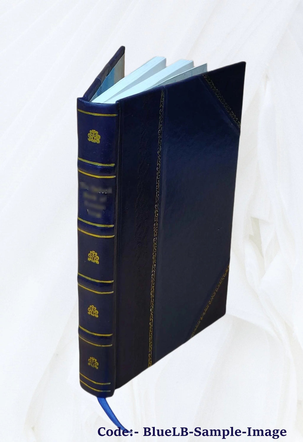 Leather Bound Physics Lectures R5241