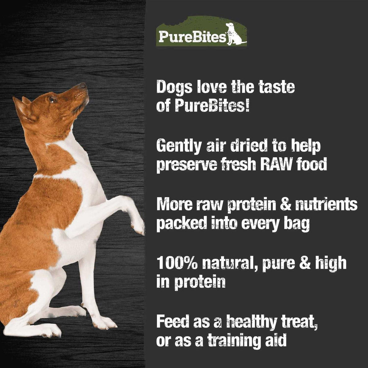 Beef Jerky Dog Treats X28597