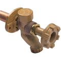 Residential Wall Faucet C1260