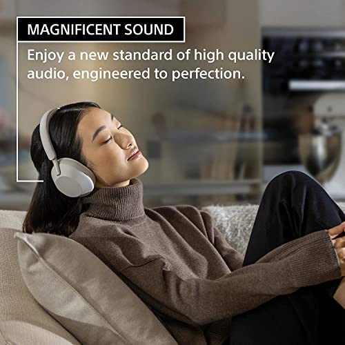 Wireless Noise Canceling Headphones (Silver) V453
