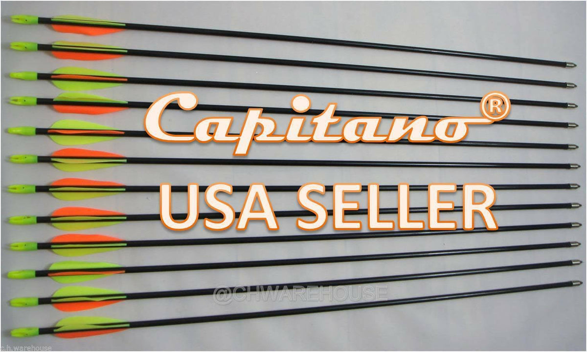 Fiberglass Target Practice Arrows with Nocks and Fletches, 61cm 1/2 Dozen M958036