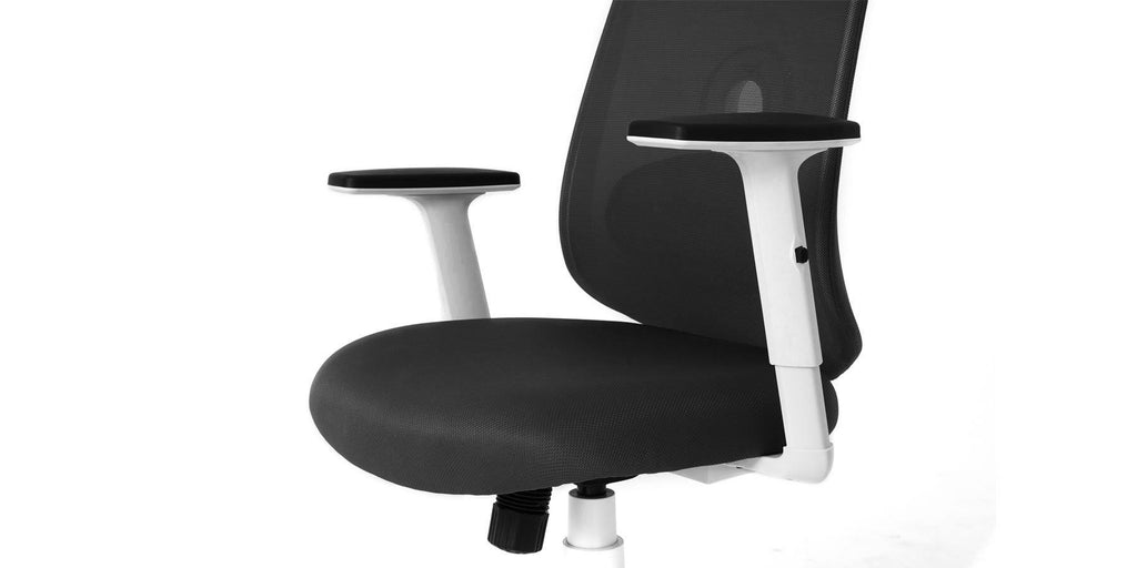 Ergonomic Swivel Office Chair with Lumbar Adjust (Black) C62332