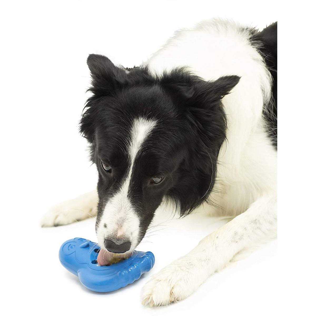 Freezable Treat Holding Dog Toy A65182