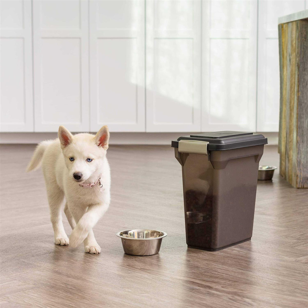 Airtight Pet Food Storage Container O905980