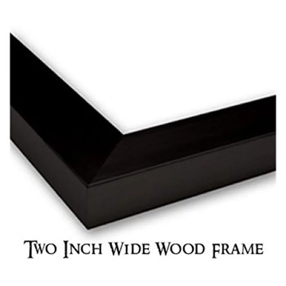 Black Modern Framed Museum Art Print G591353