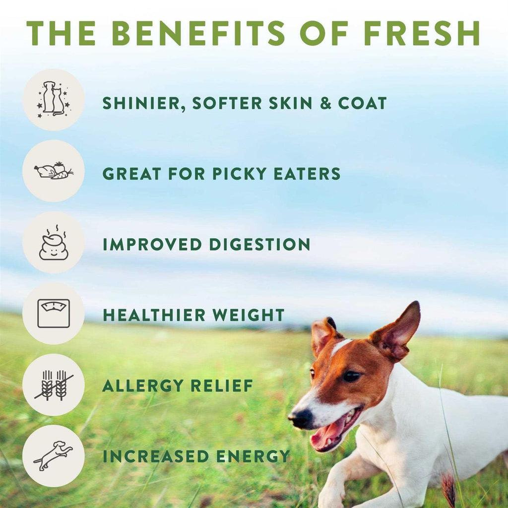 Tender Chicken Recipe Dog Food V3075