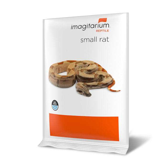 Small Pet Rat J5851