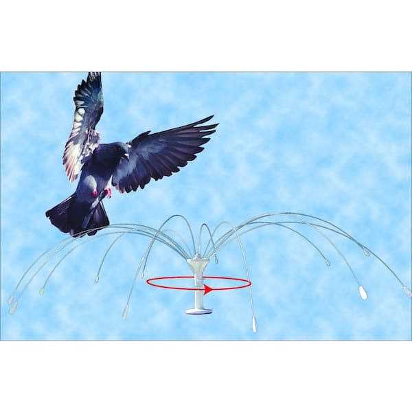 Bird Spider 360 Stainless Steel I27002