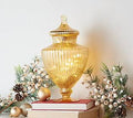 Illuminated Mercury Glass Apothecary Jar B104