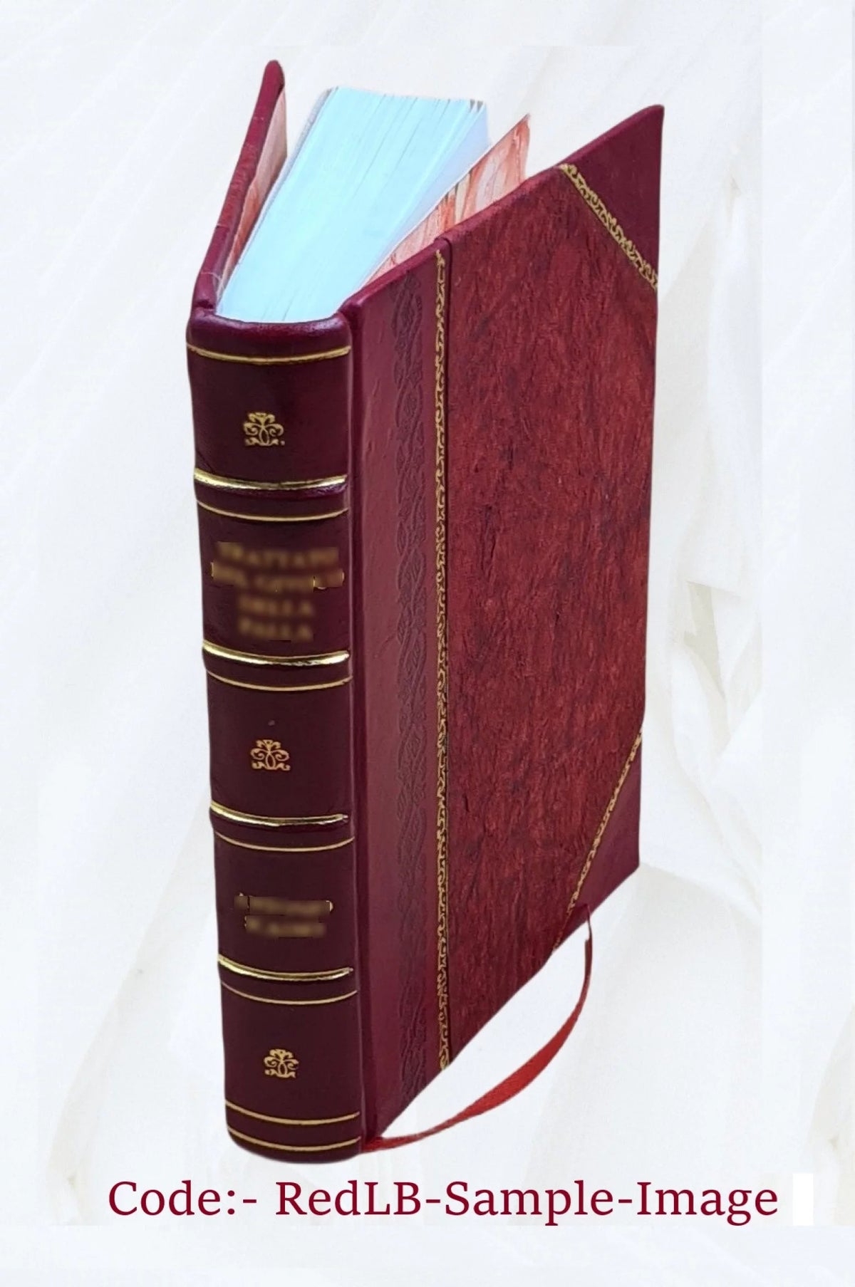 Leather Bound Physics Lectures R5241