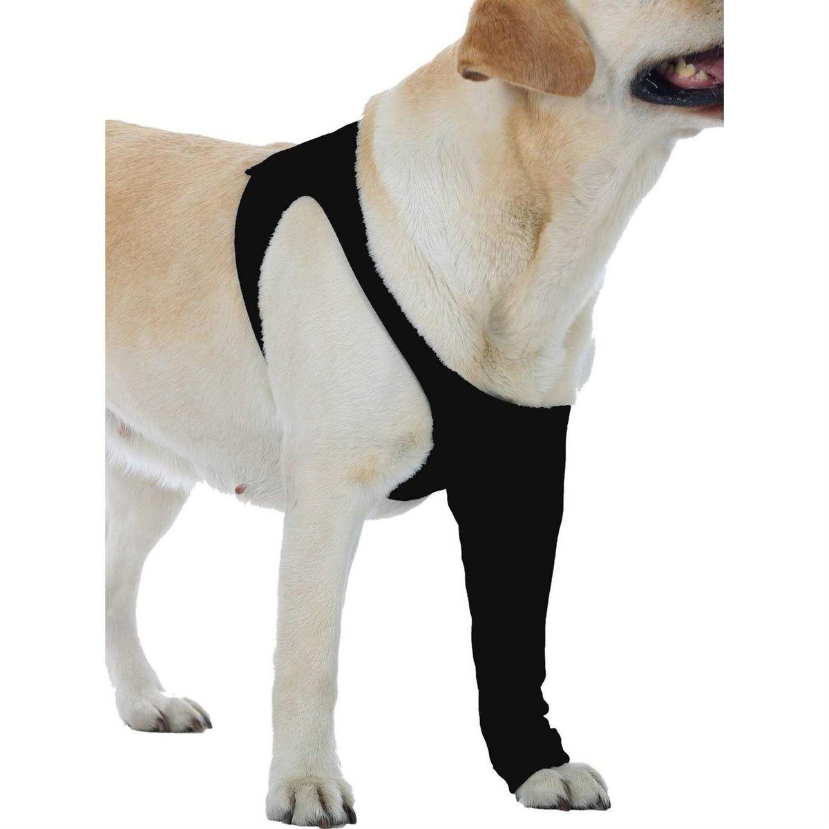 Dog Recovery Sleeve T576