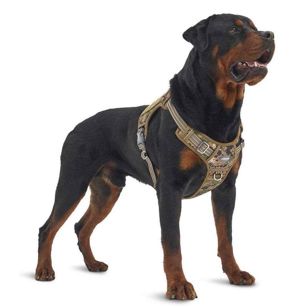 No Pull Dog Harness Z8195