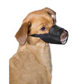 Dog Muzzle D4278