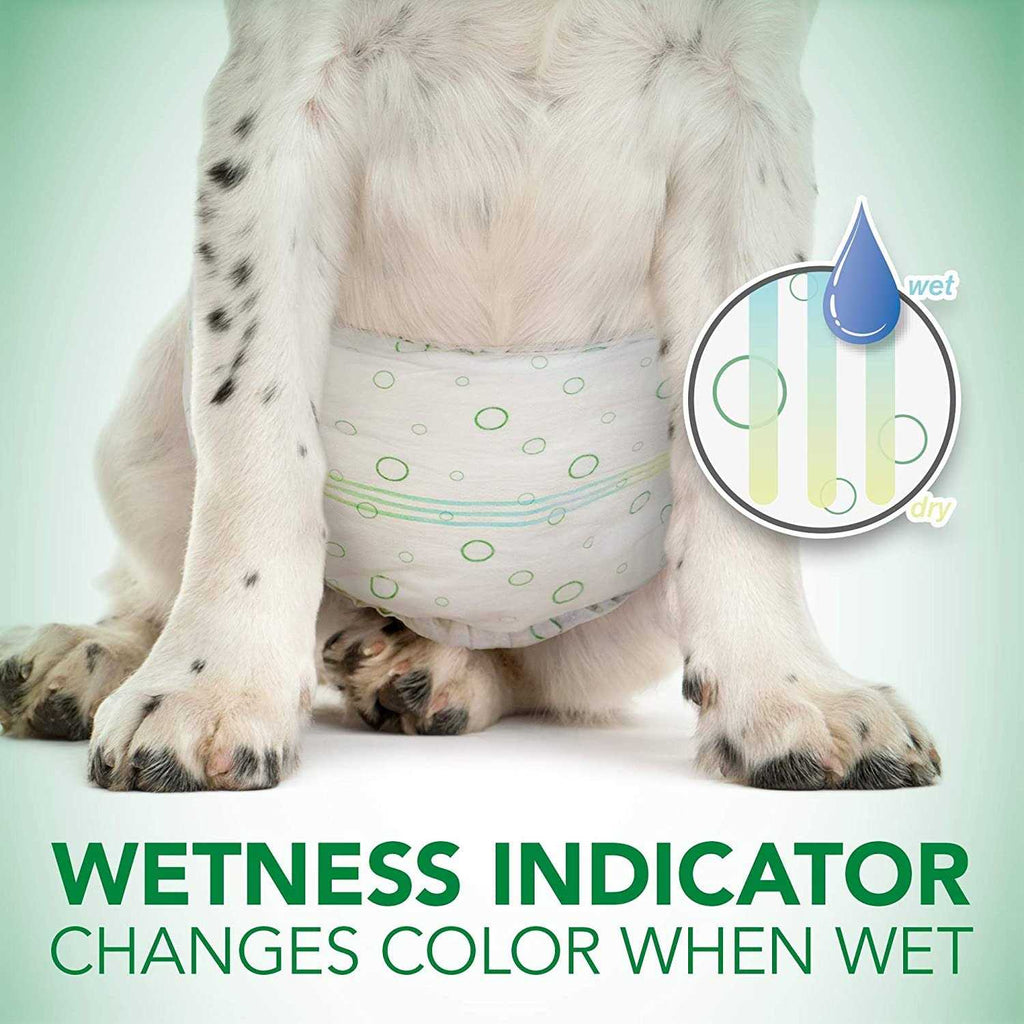 Disposable Male Dog Wraps Y105