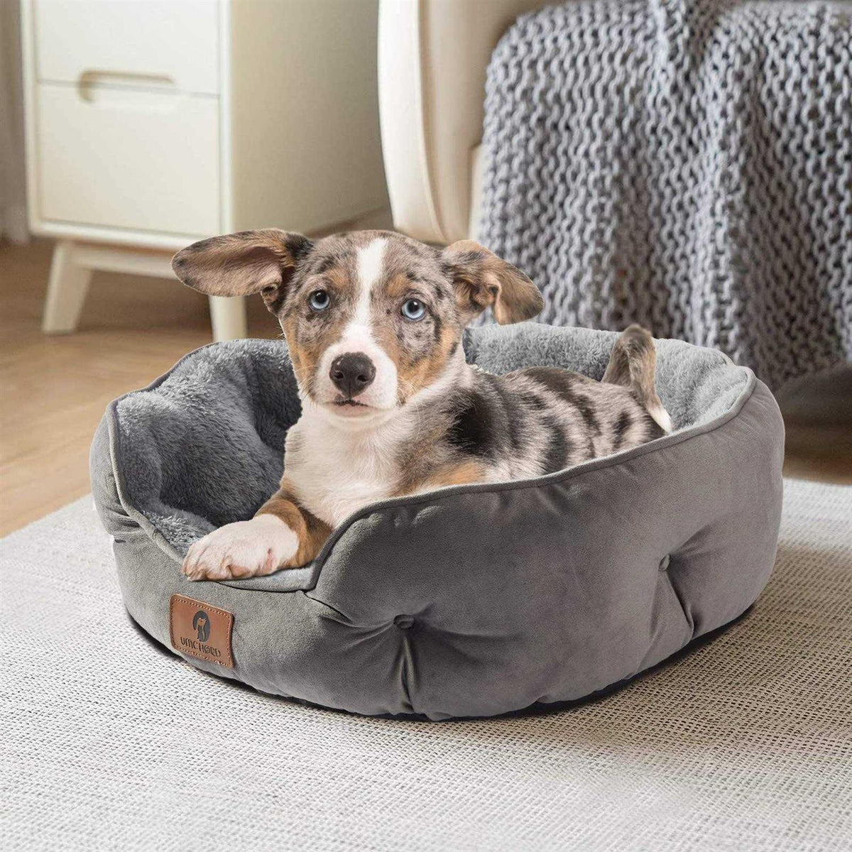 Small Dog Bed Cat Bed Pet Bed K283