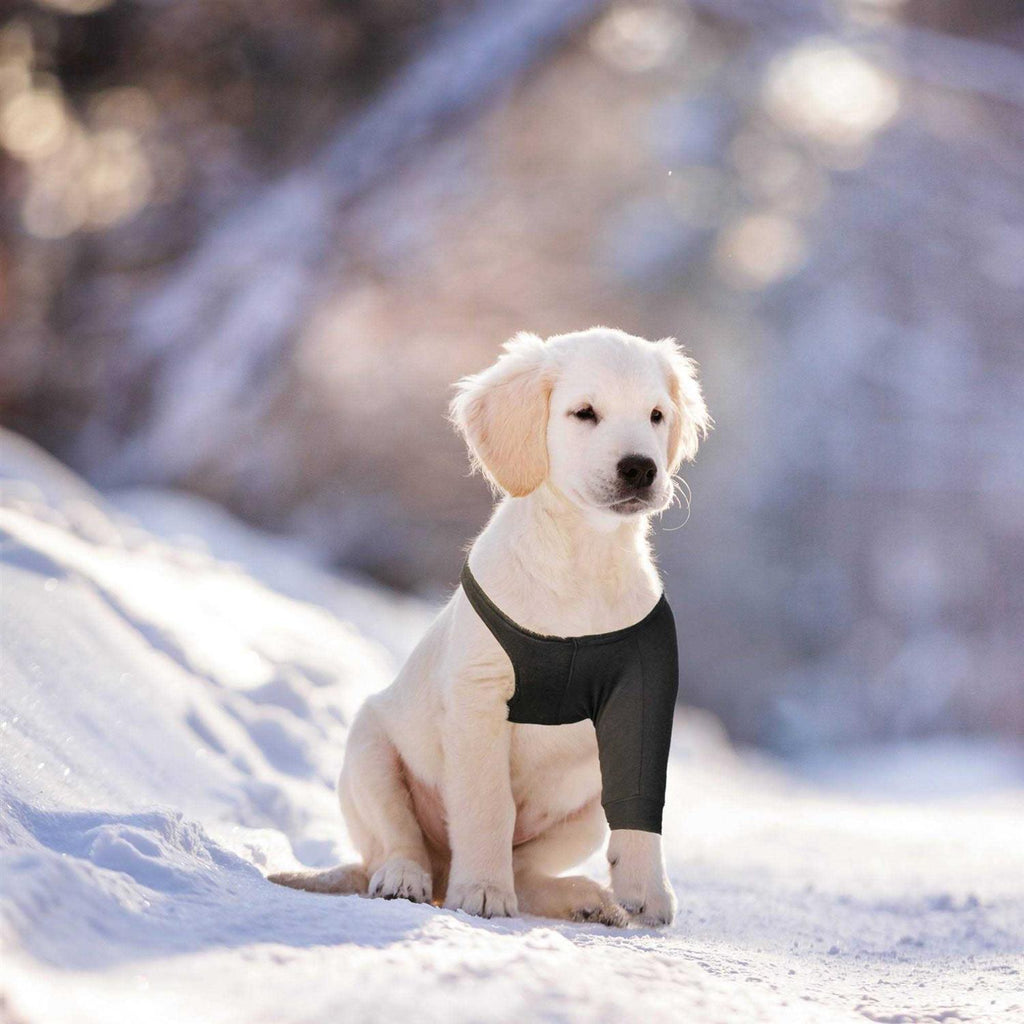 Dog Recovery Sleeve T576