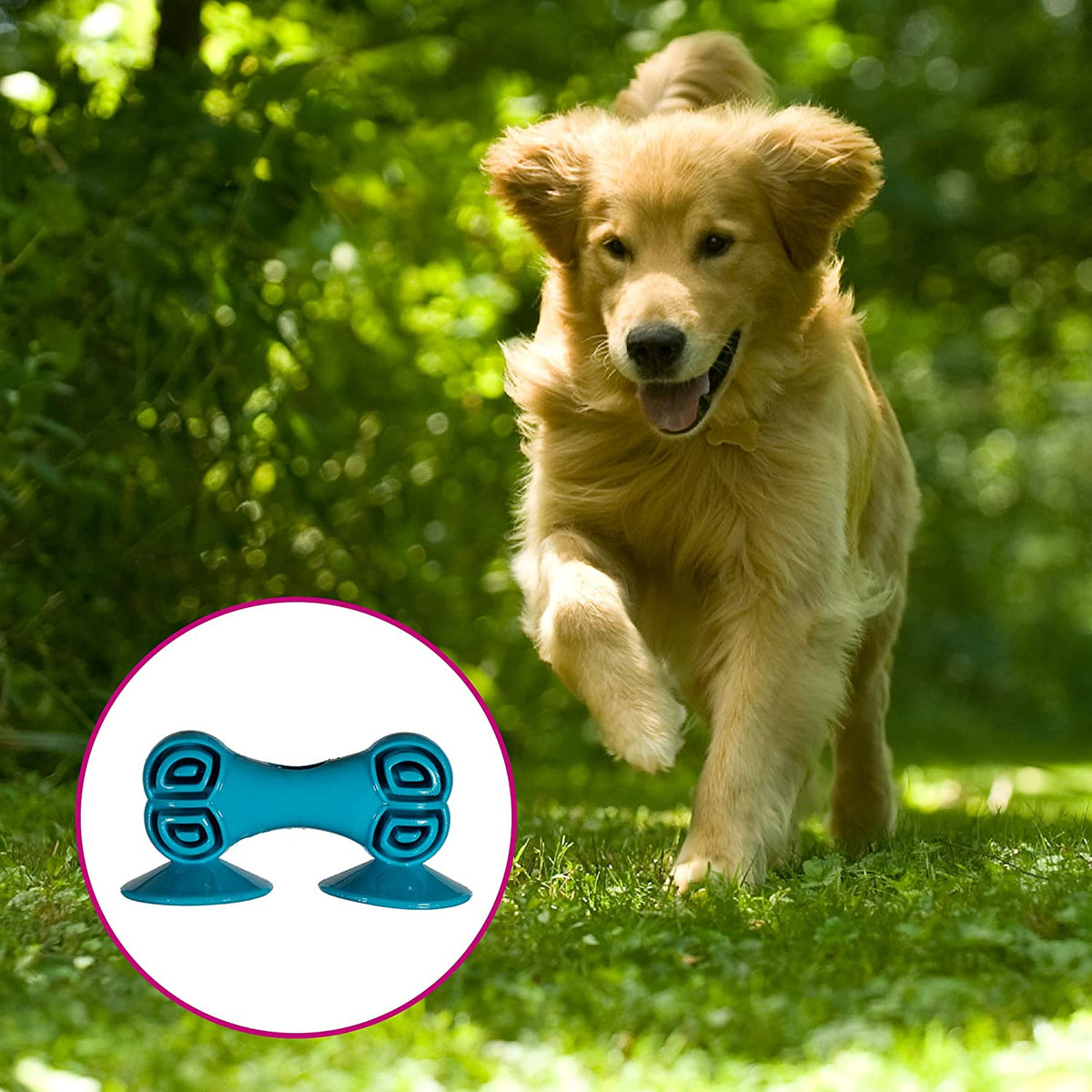 Sticky Bone Pet Chew Toy Q9052
