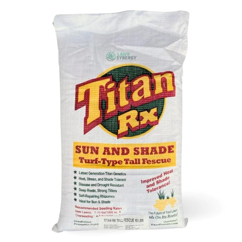 10 lbs Turf-Type Tall Fescue Grass Seed G61526
