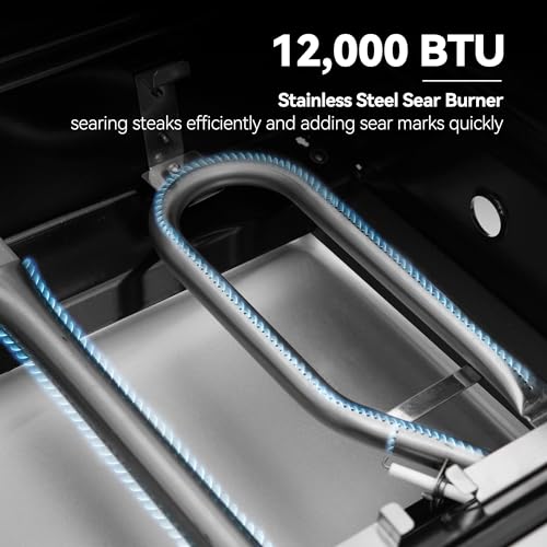 5 Burner Propane Gas Grill with Side Burner & Sear Burner, Stainless Steel E9860