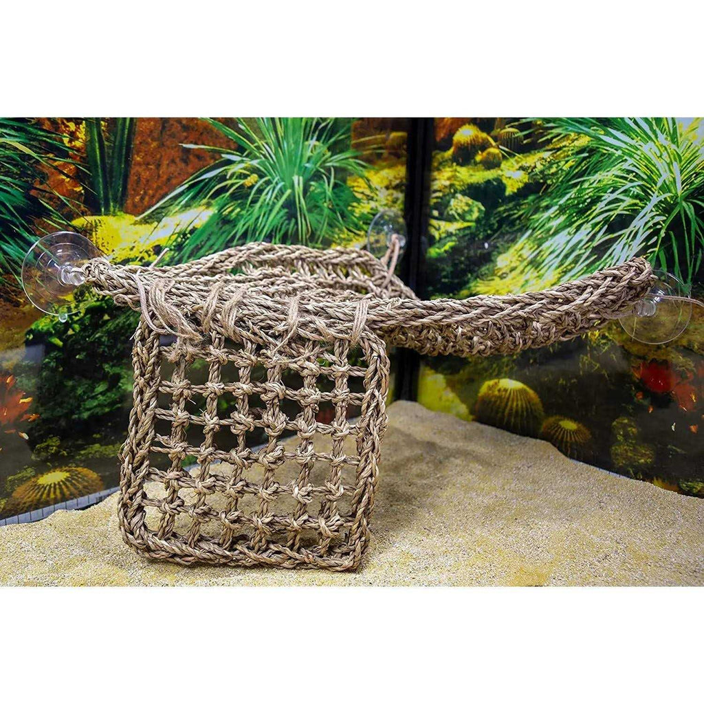 Lizard Lounger C354