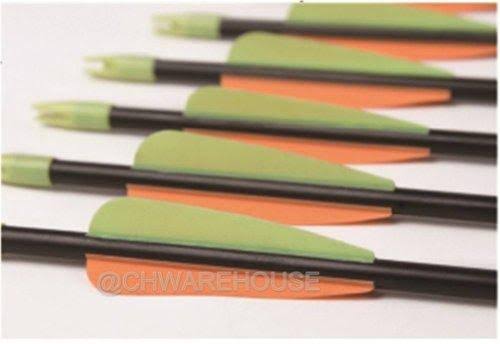 Fiberglass Target Practice Arrows with Nocks and Fletches, 61cm 1/2 Dozen M958036