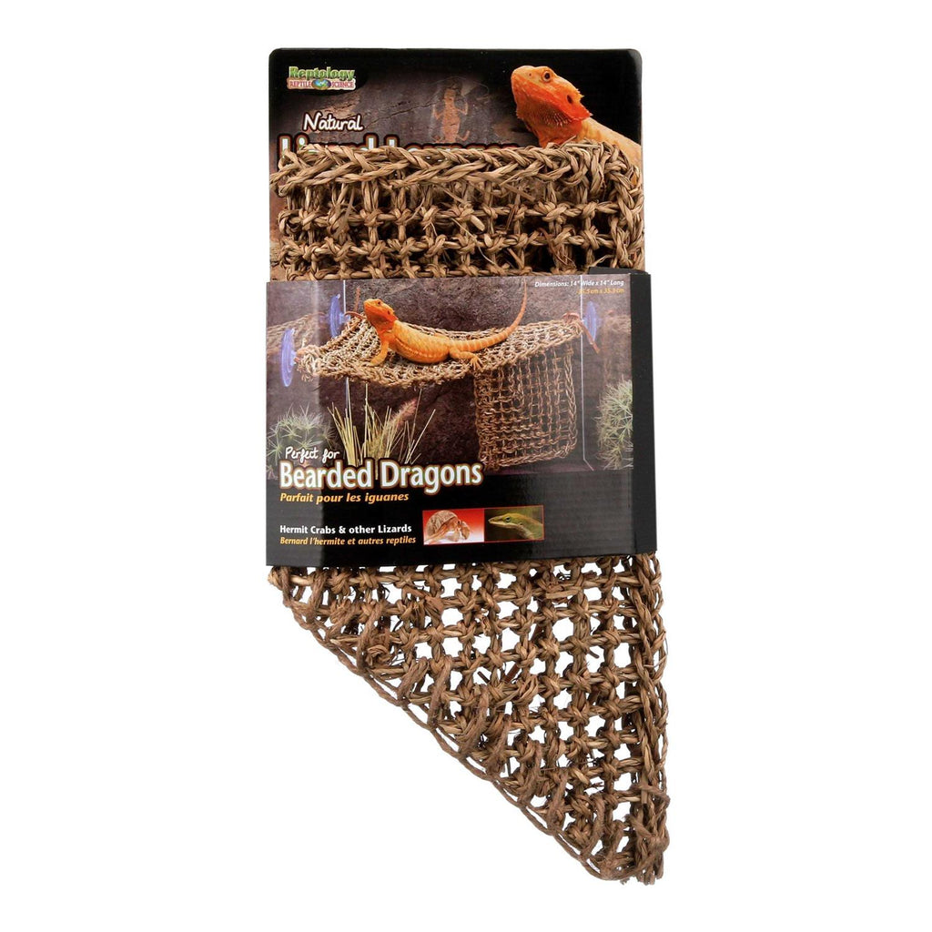 Lizard Lounger C354