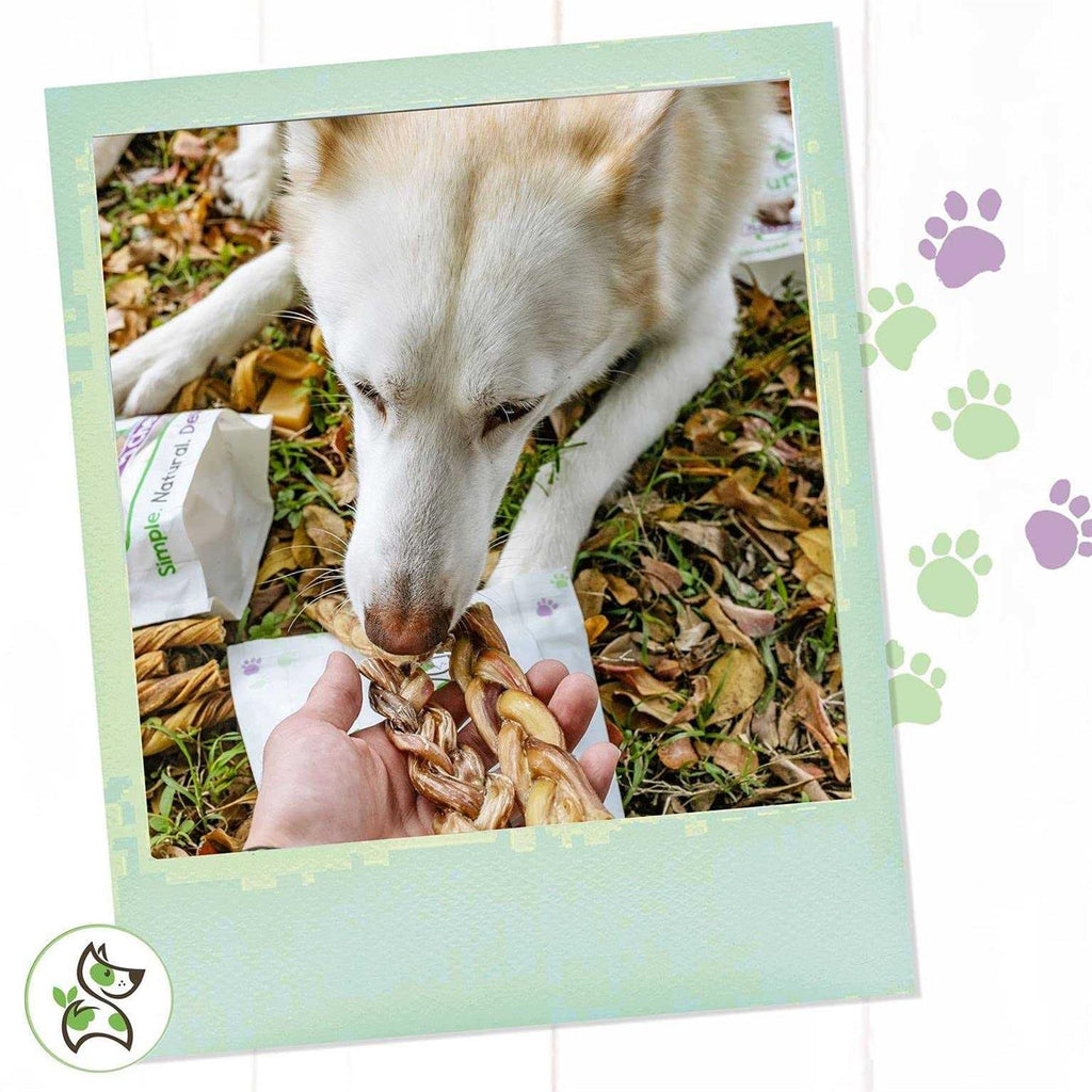 Braided Bully Sticks for Dogs Natural Beef Bones K5902