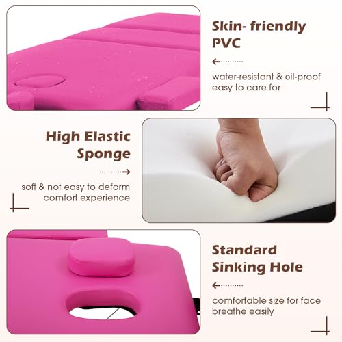 24 inch Wide Folding Height Adjustable Massage Table with Non-Woven Bag T1638