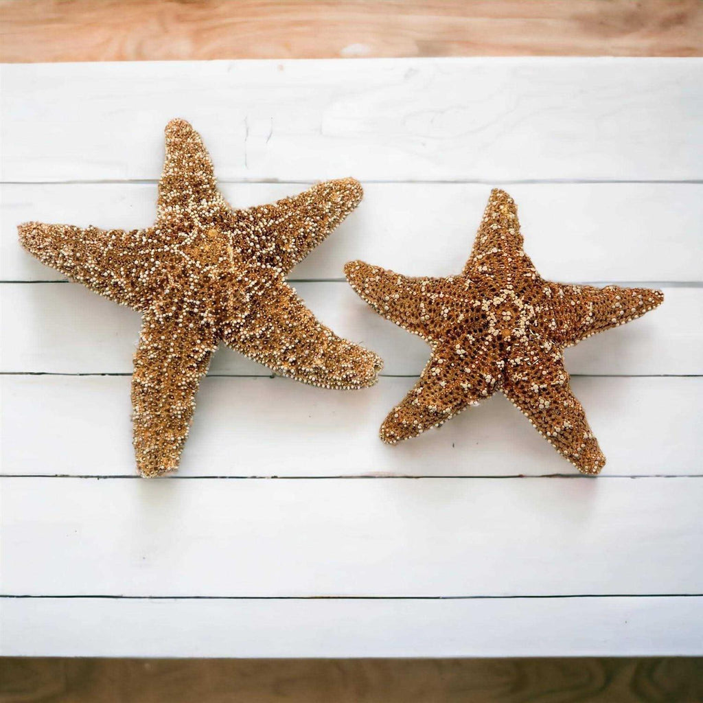4 6 inch Starfish Decor D795943