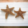4 6 inch Starfish Decor D795943