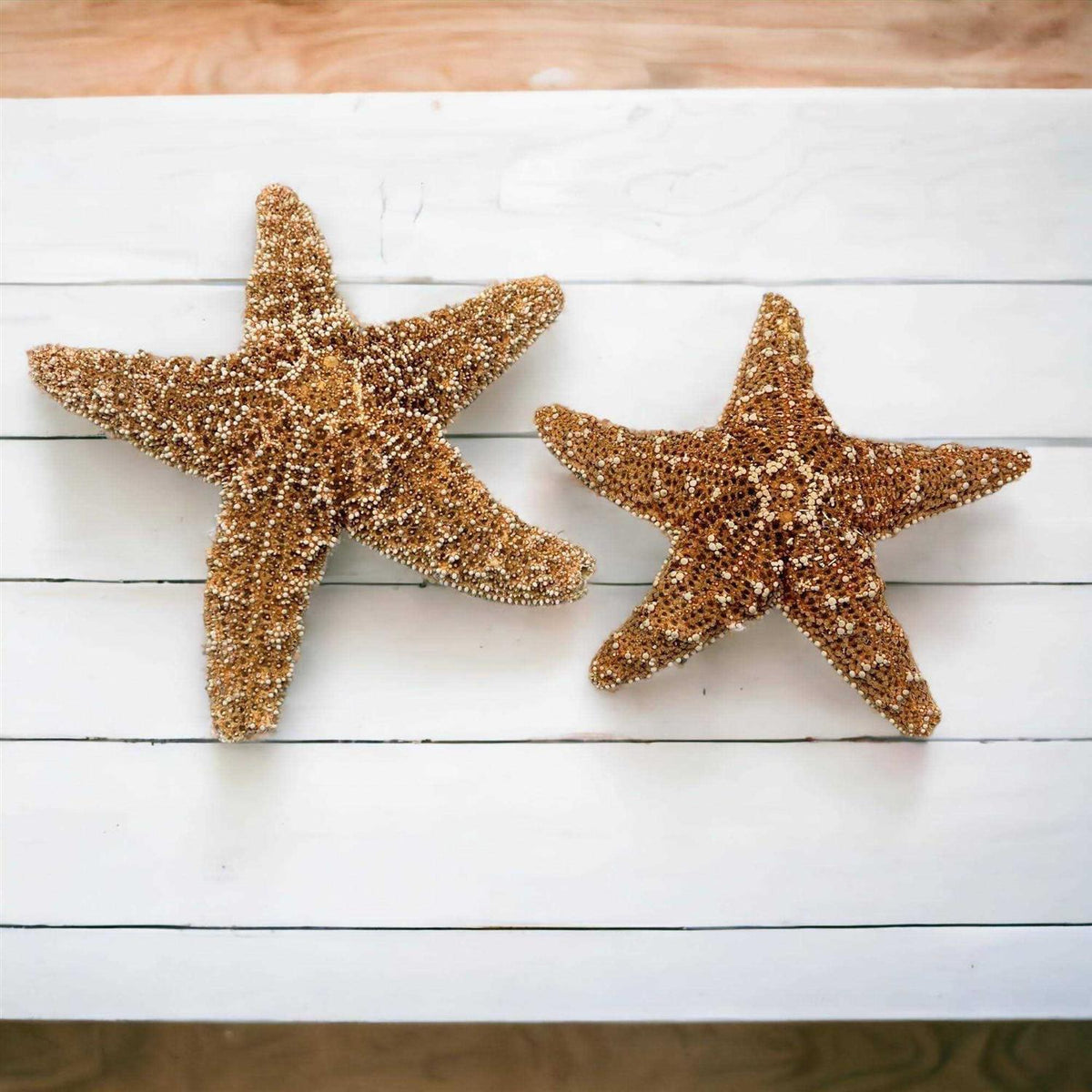 4 6 inch Starfish Decor D795943