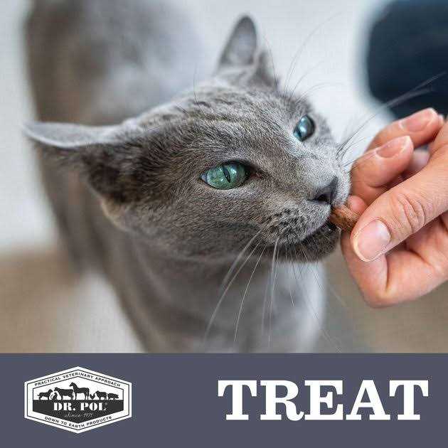 Freeze Dried Cat Treat and Meal Topper M522538