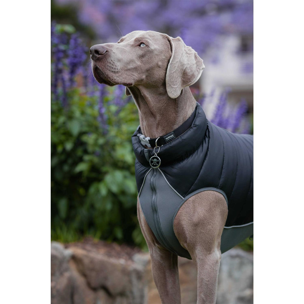 Enamel Pet ID Tag Q4390