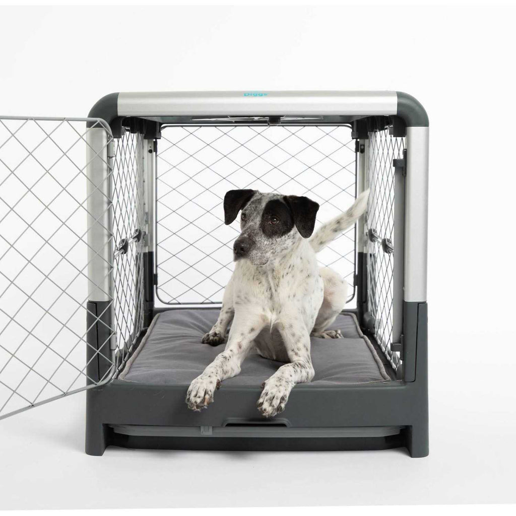Memory Foam Dog Bed C21813