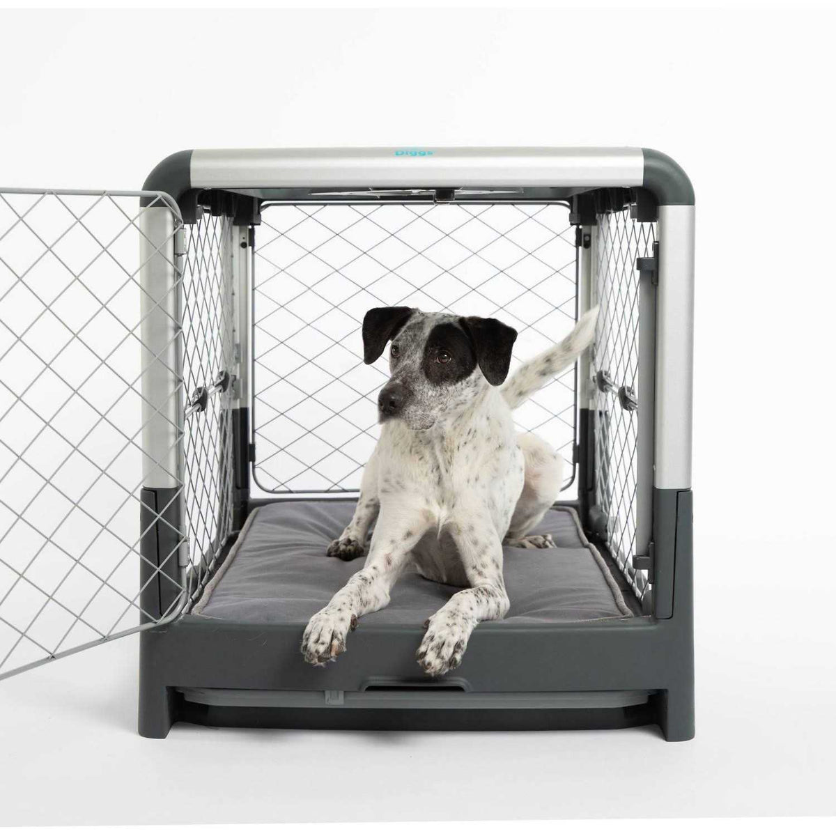 Memory Foam Dog Bed C21813
