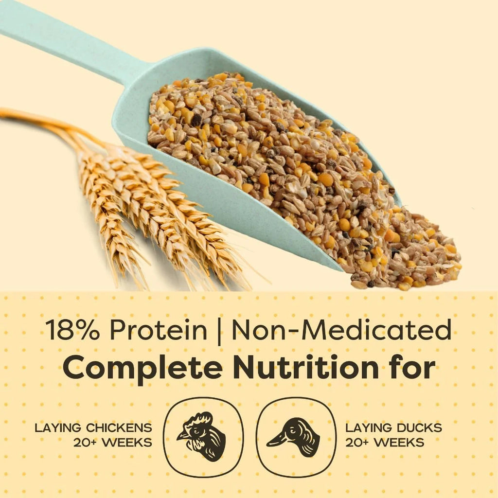 Organic Whole Grain Layer Feed + Corn 18% Protein Chicken and Duck Feed 40lb J658
