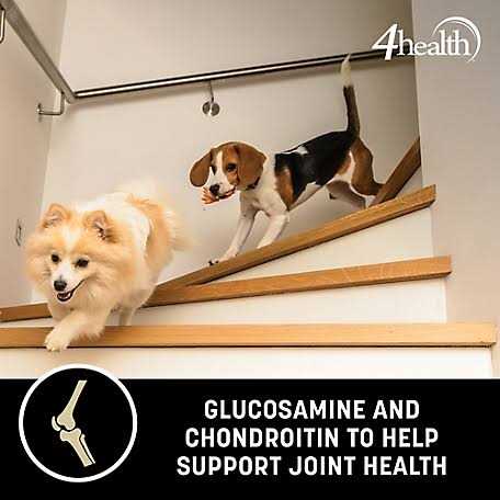 Adult Healthy Weight Chicken Formula Dry Dog Food Q976534
