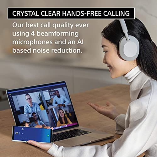 Wireless Noise Canceling Headphones (Silver) V453