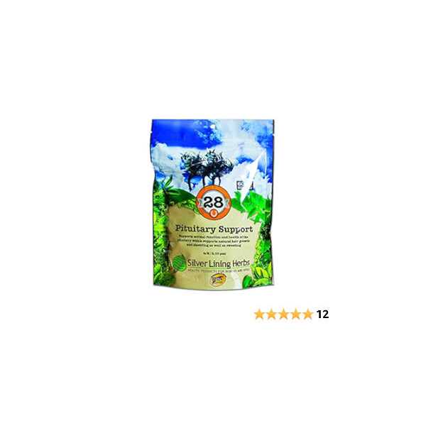 28 Pituitary Support E9842
