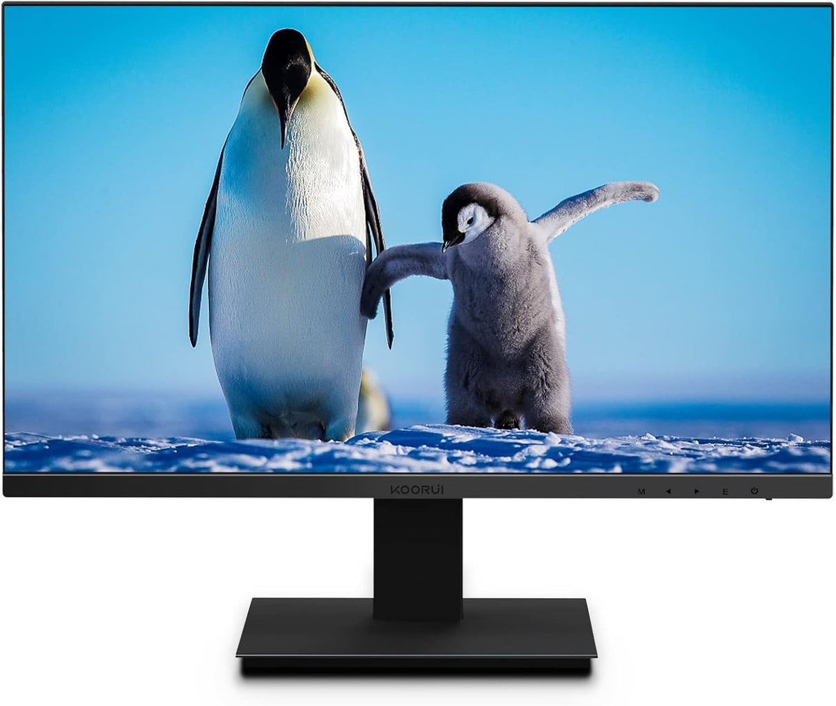 24 inch IPS FHD 1080p 75Hz LED Computer Monitor M8821