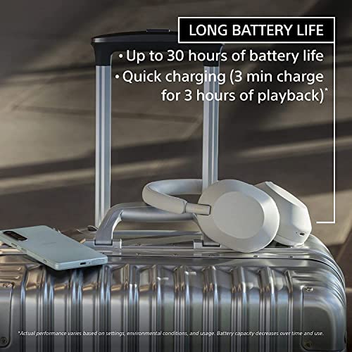 Wireless Noise Canceling Headphones (Silver) V453