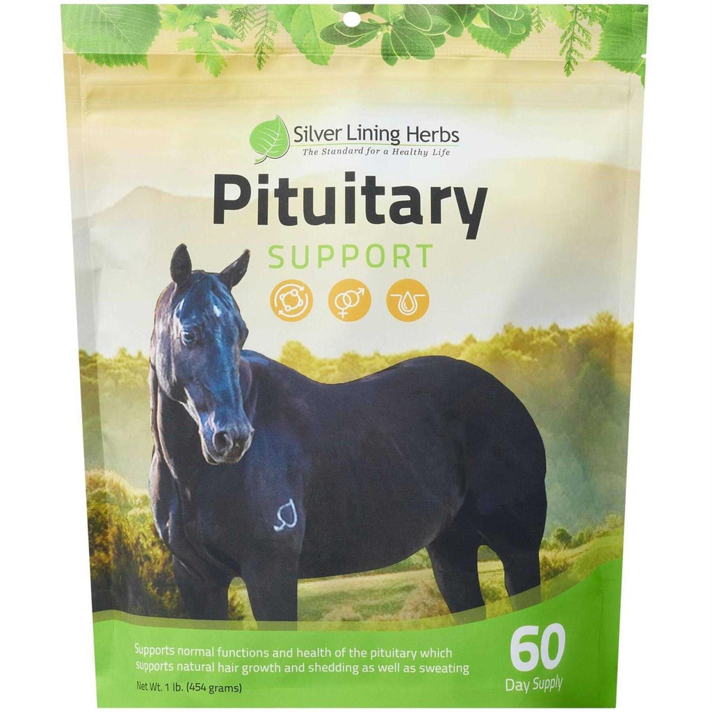 28 Pituitary Support E9842
