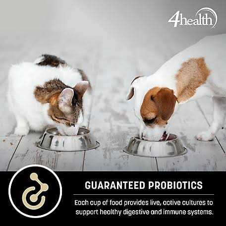 Adult Healthy Weight Chicken Formula Dry Dog Food Q976534